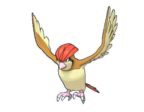 pidgey एनिमेटेड-छवियां-gif